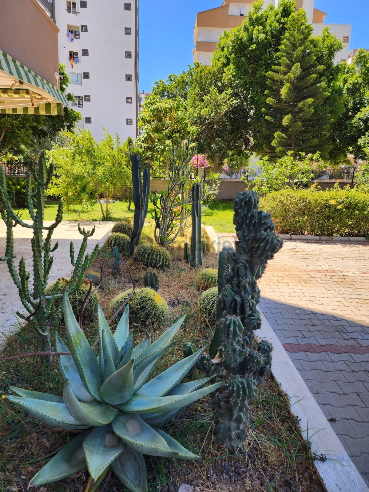 Önü Açık Deniz Manzaralı Arakat Site İçi - 16