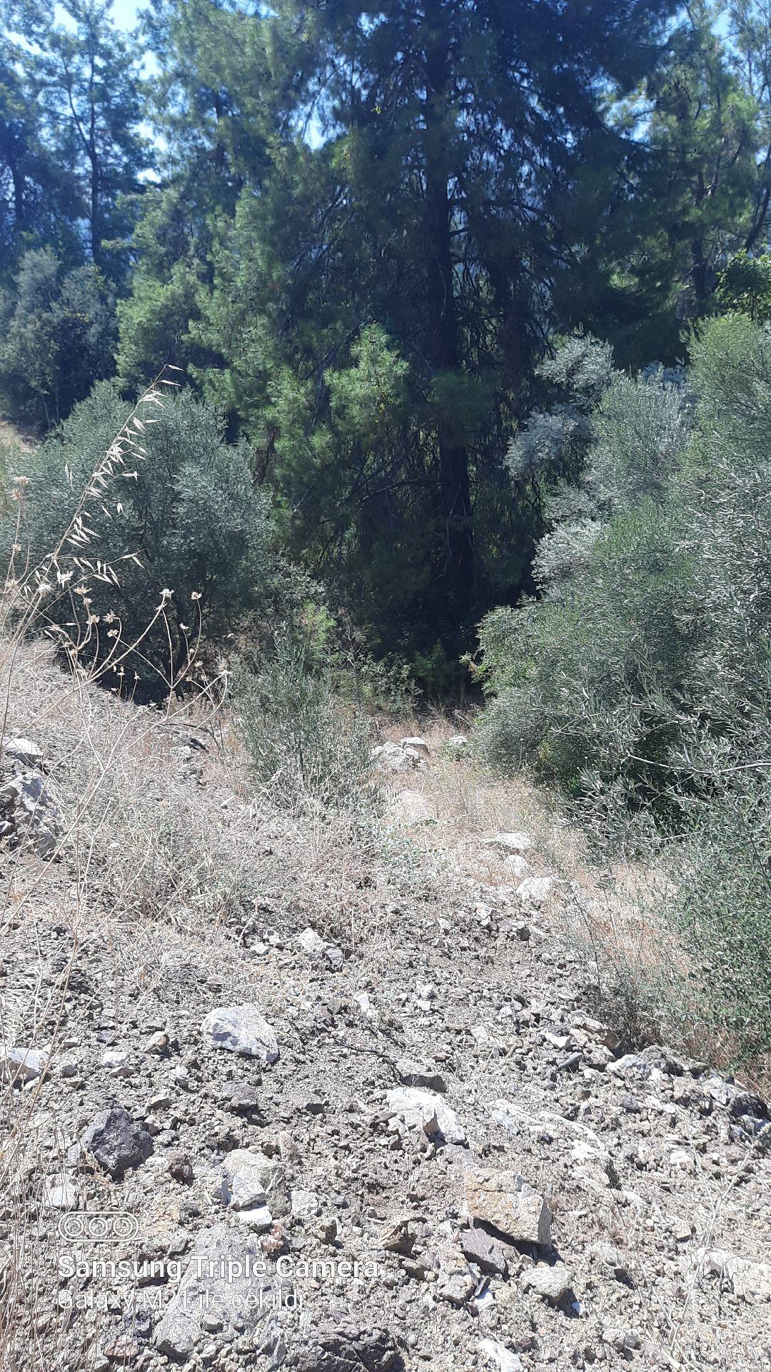 İnlicede 1120 M2 Yer - 10