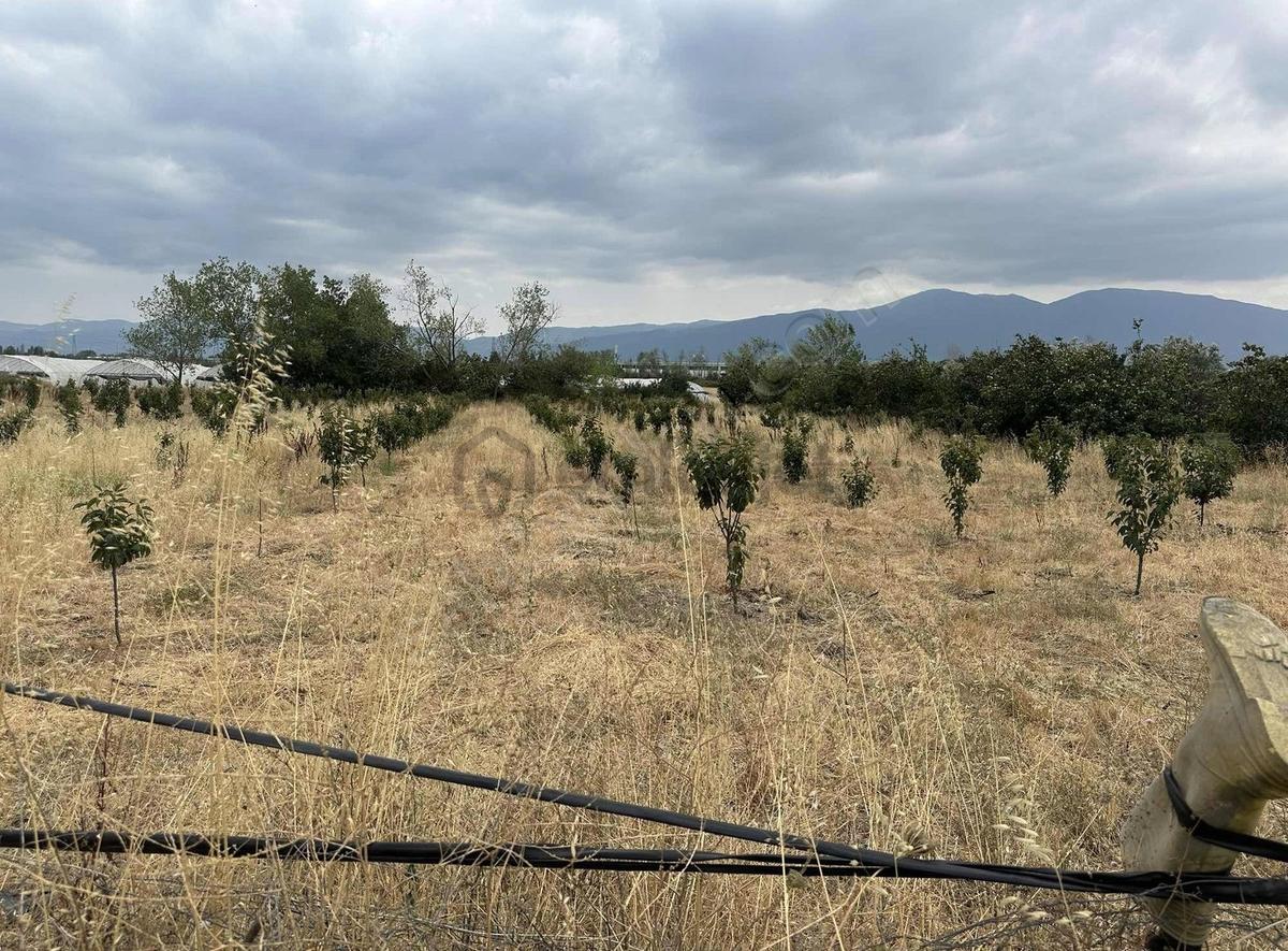 Bursa Emlak Alemi Muradiye Mahallesi Konumda Satılık - 12