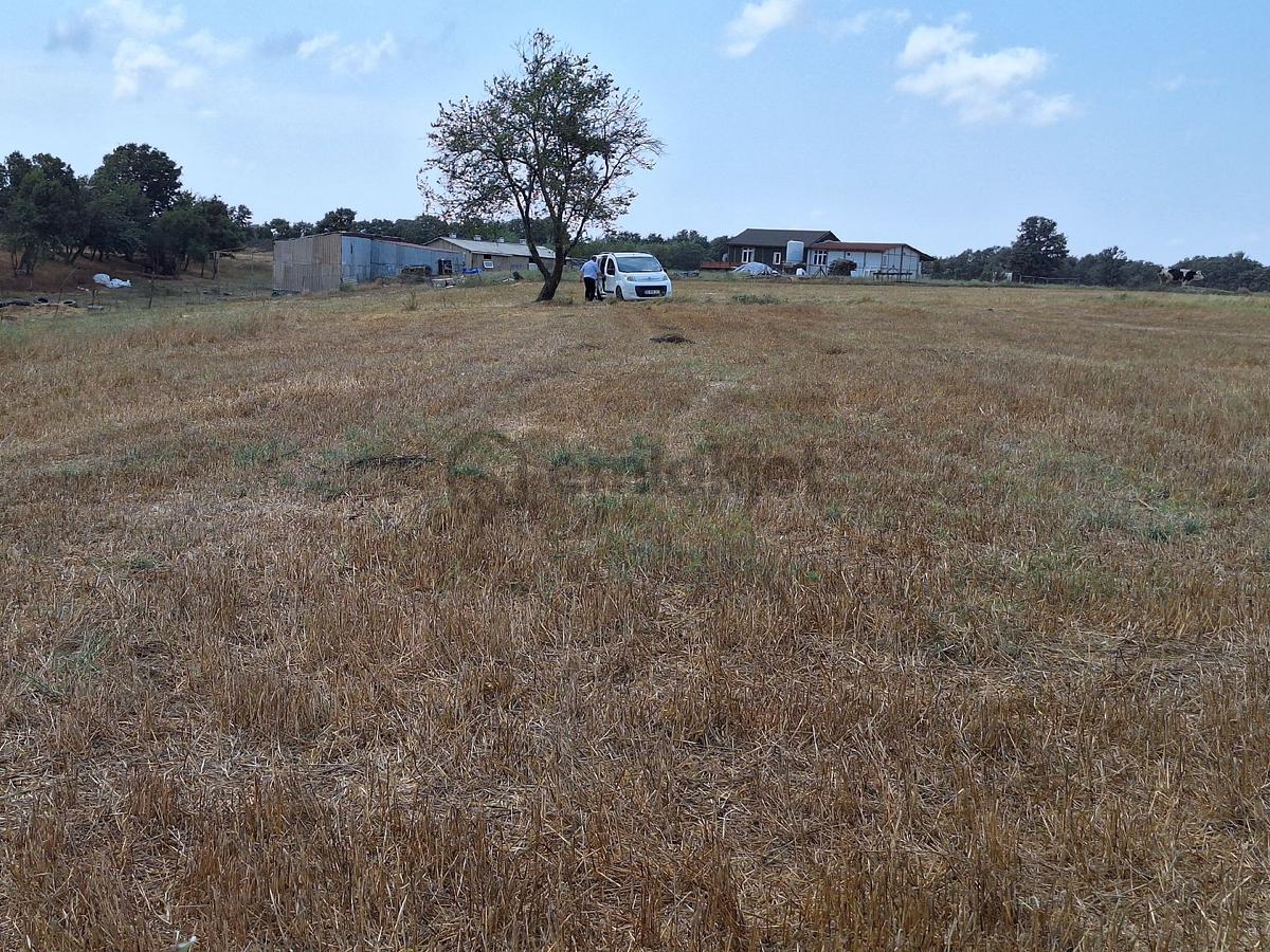Tekirdağ Saray Küçükyoncalı Mh Satılık Tek Tapu Tarla - 13