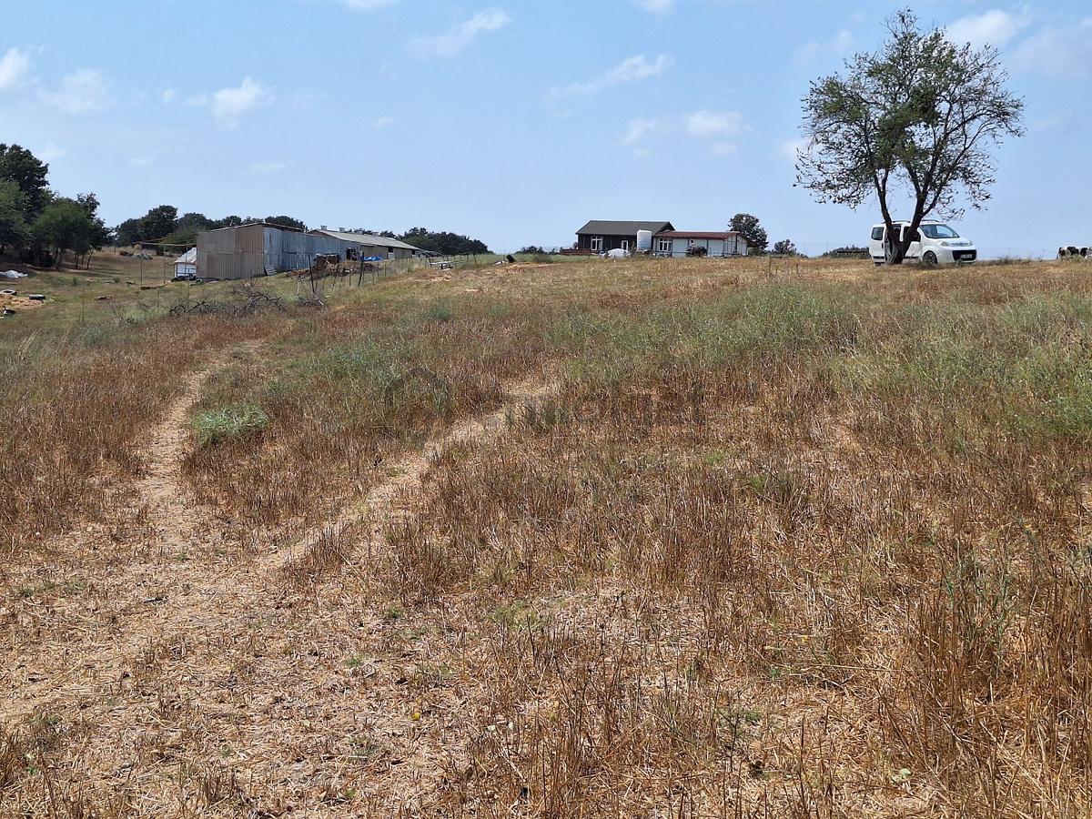 Tekirdağ Saray Küçükyoncalı Mh Satılık Tek Tapu Tarla - 5