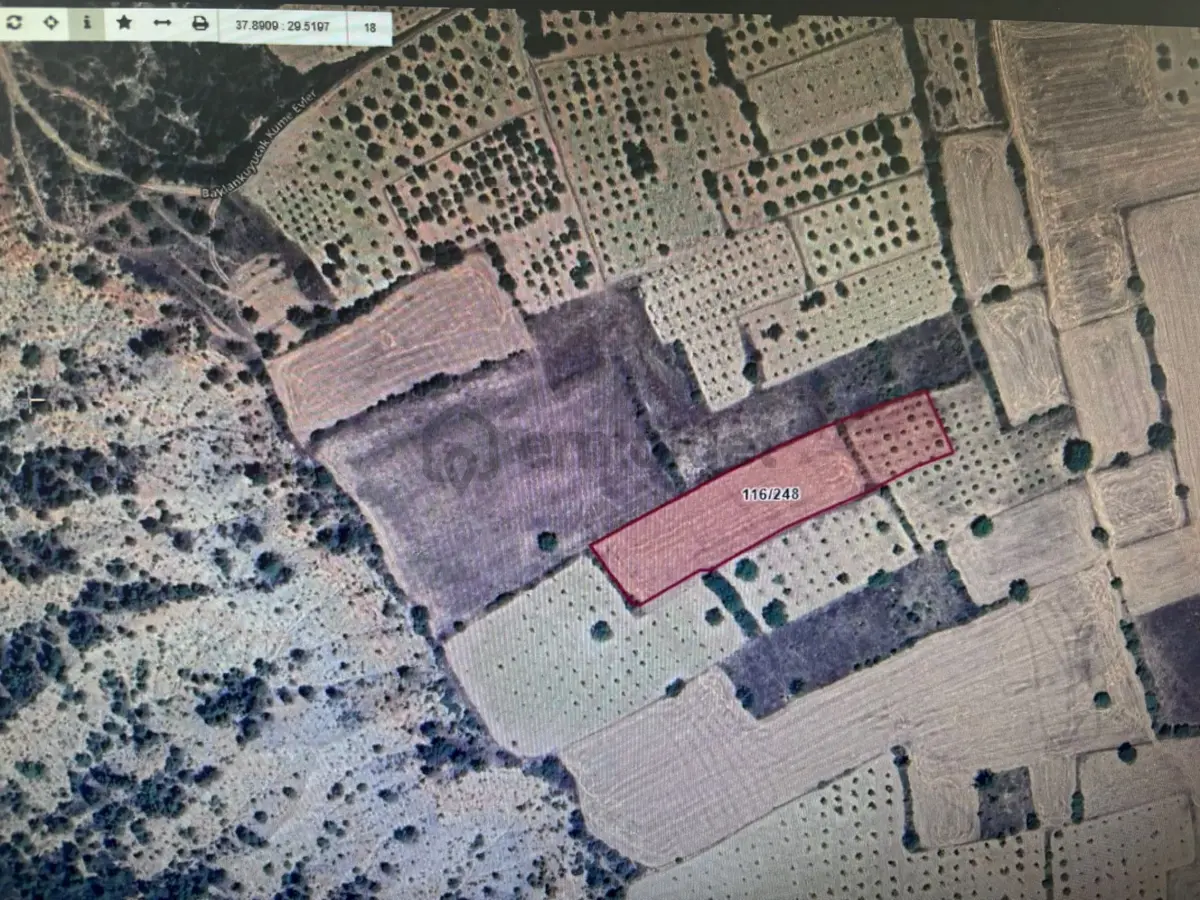 Kocaderede Satılık Villalık Arsa