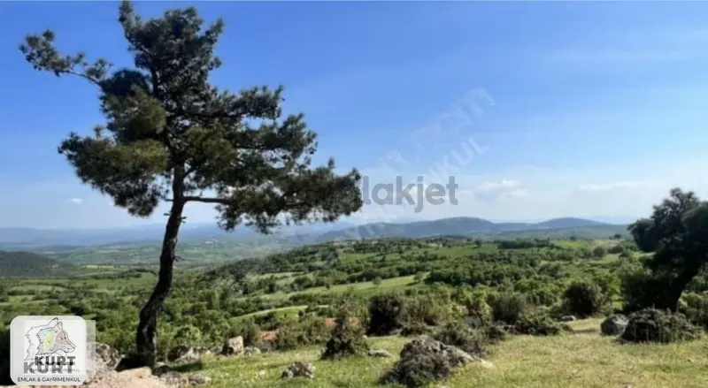 Çanakkale Bayramiç Karaibrahimlarde Satılık Fırsat Tarla - 7