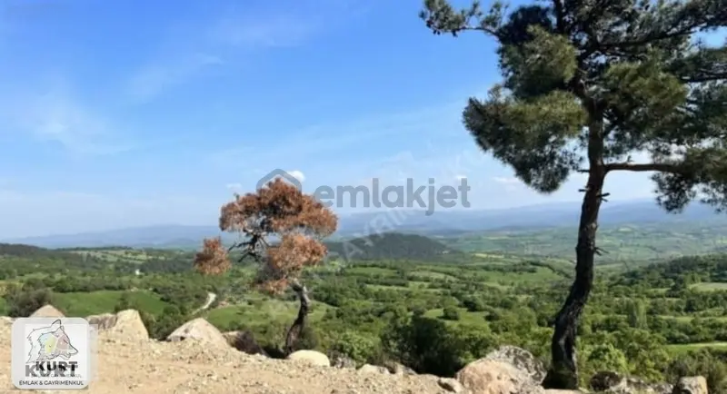 Çanakkale Bayramiç Karaibrahimlarde Satılık Fırsat Tarla - 6
