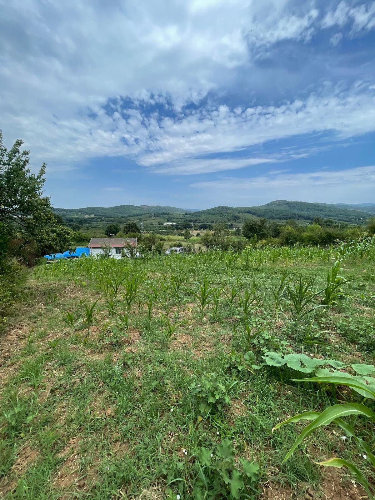 Sakarya Hendekte İçinde Yapı Olan 1.334 M2 Satılık Yer - 4