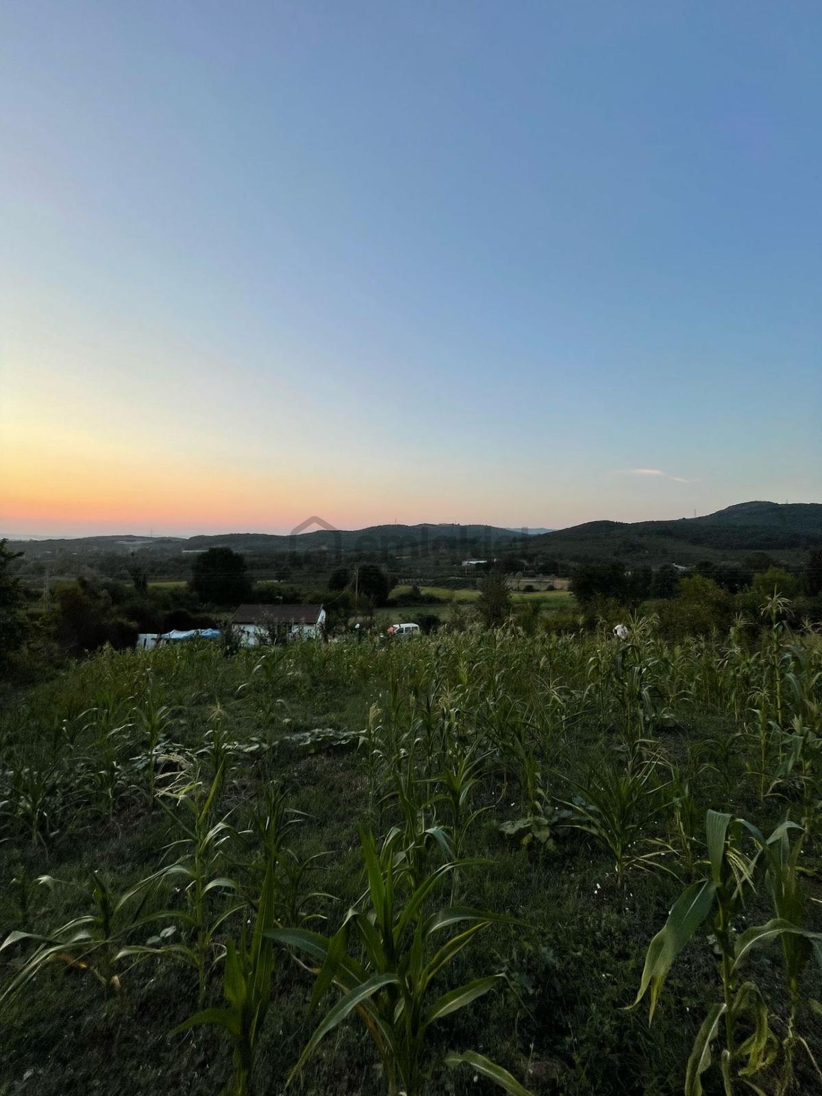 Sakarya Hendekte İçinde Yapı Olan 1.334 M2 Satılık Yer - 3