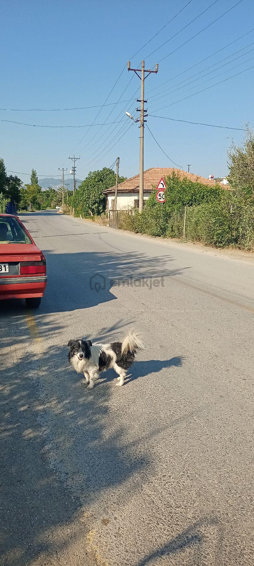 Muğla Ortaca Güzelyurt Satılık Arsa - 7