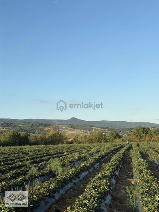 Akçakoyunda 8584 Metrekare Satılık Tek Tapu - 21