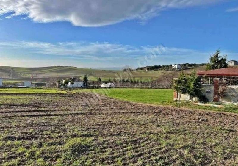 Ereğli Çeşmeli'de İmara Sıfır Hisseli Arsa - 6