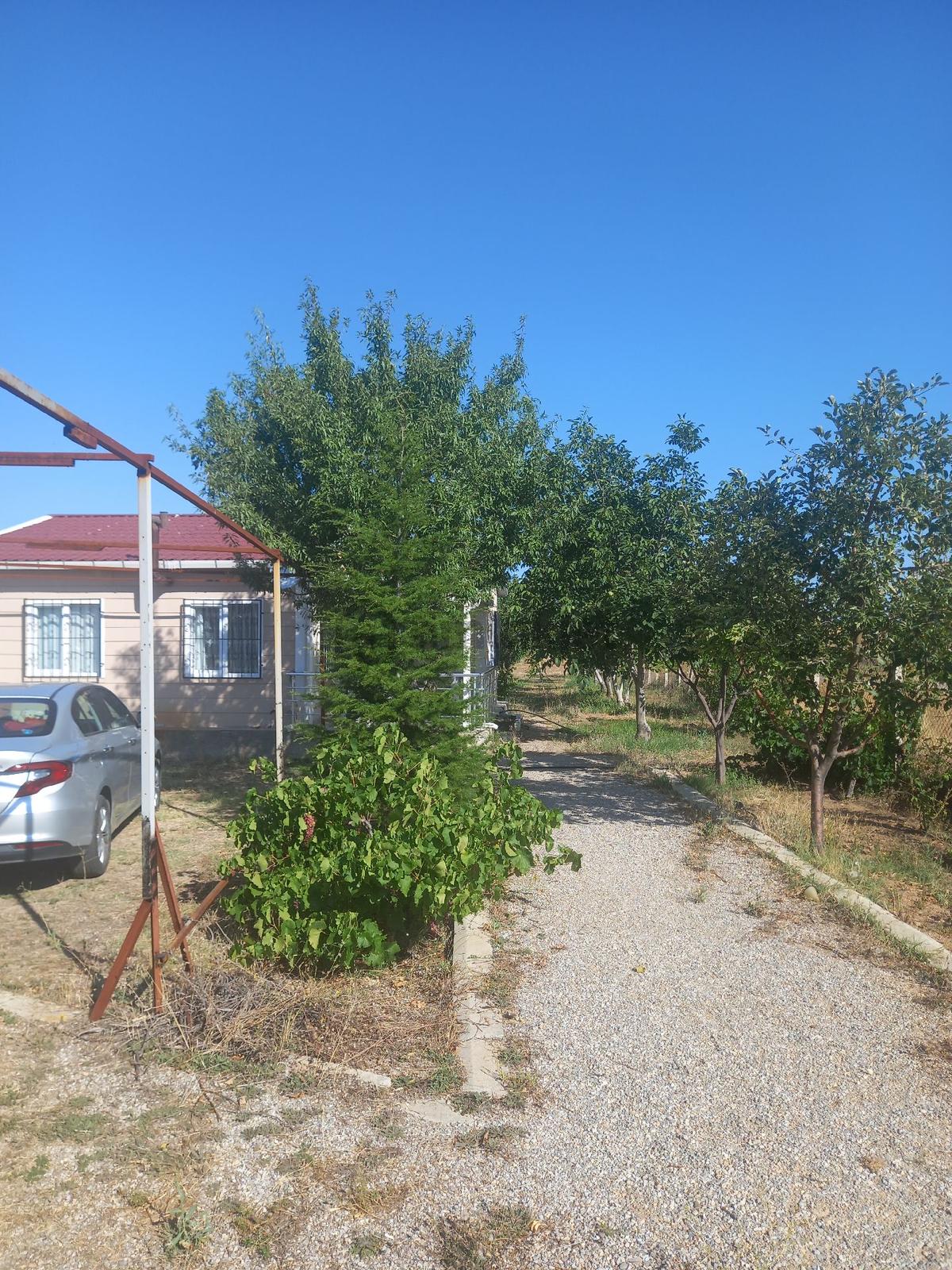 Sahibinden Satılık Cevizlik - 17