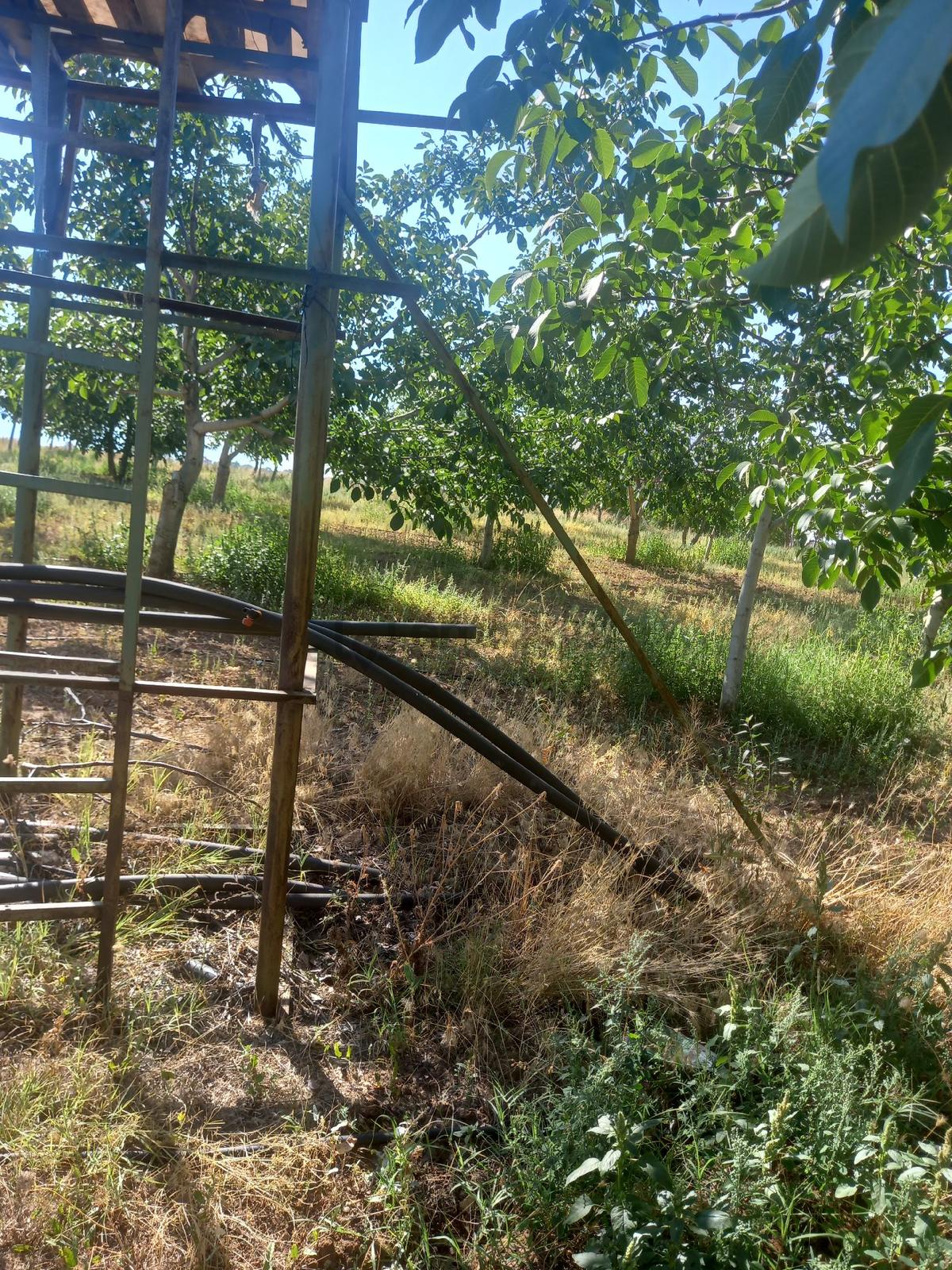 Sahibinden Satılık Cevizlik - 4
