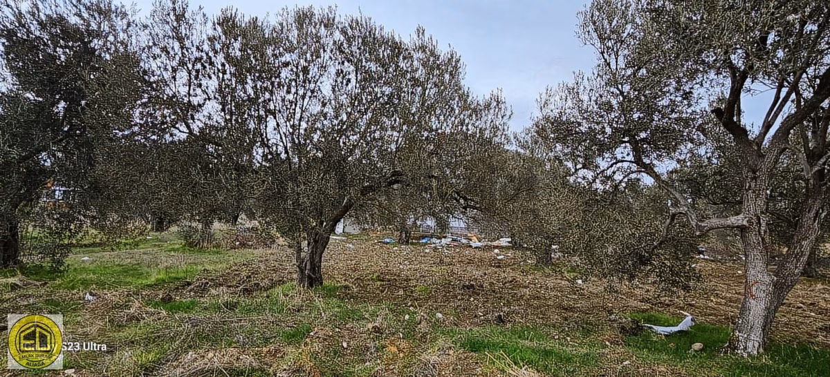 Emlak Durağı'ndan Denize 250 Metre Mesafede 301 M² Arsa - 9