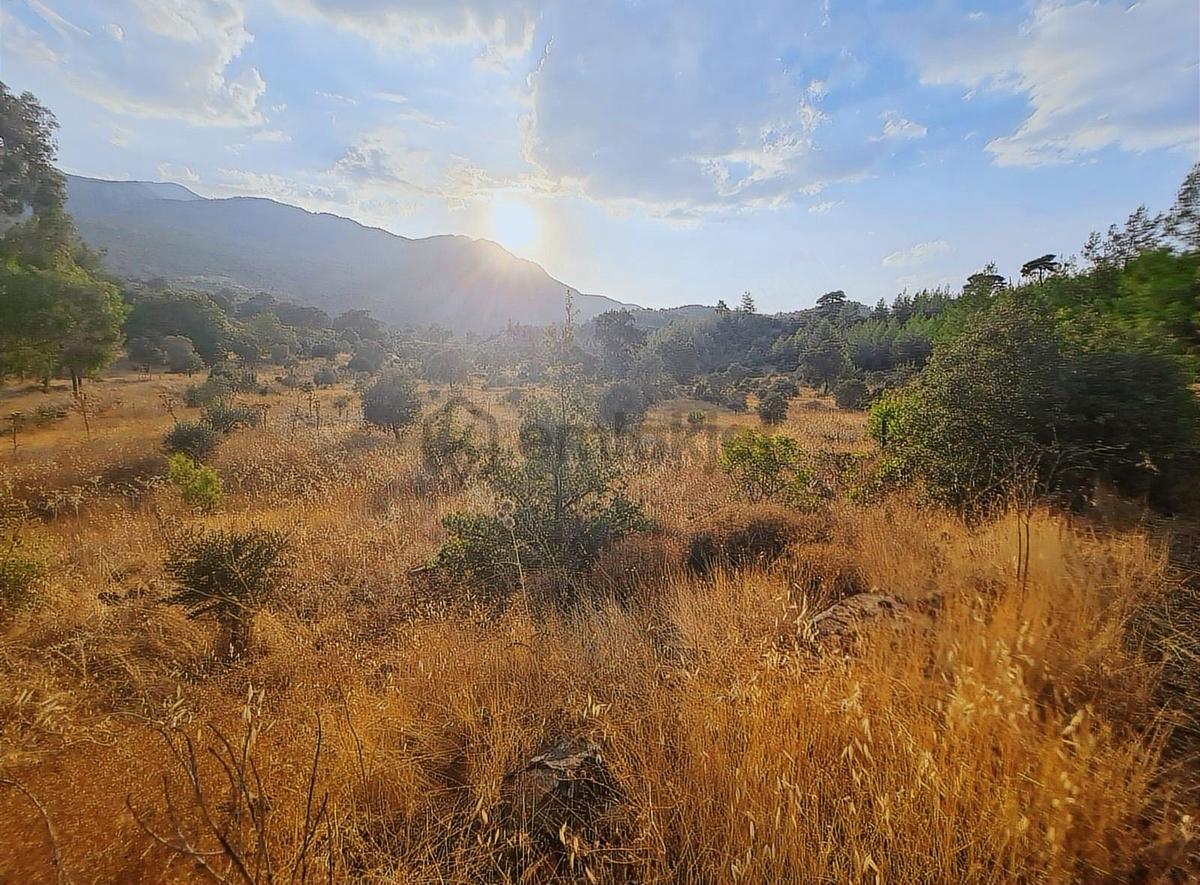 Gökben Mh.2074 M2 Tarla. - 12
