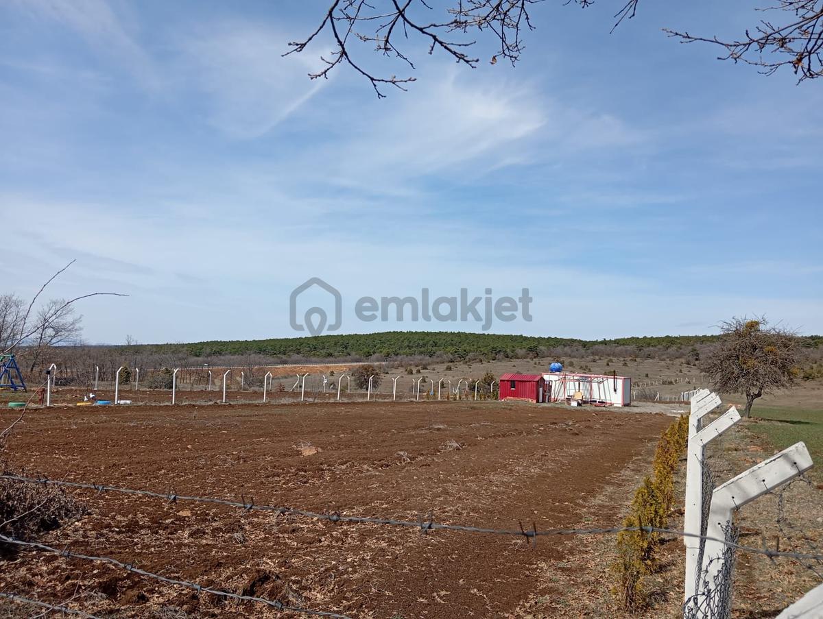Yarımcada Satılık Kurulu Düzen Hobi Bahçesi - 5