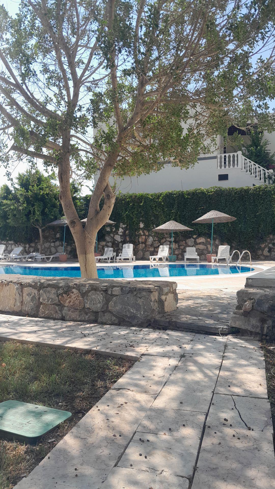 Bodrum Adabükü Satılık Bahçe Katı Daire - 31