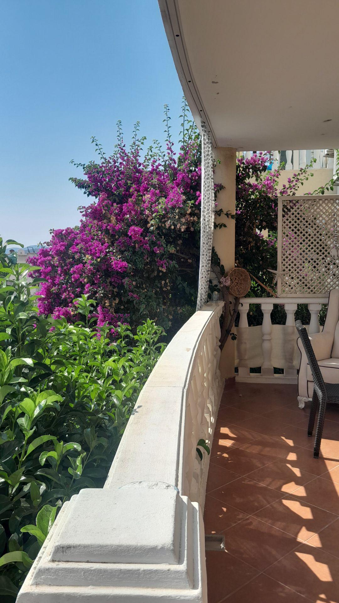 Bodrum Adabükü Satılık Bahçe Katı Daire - 19
