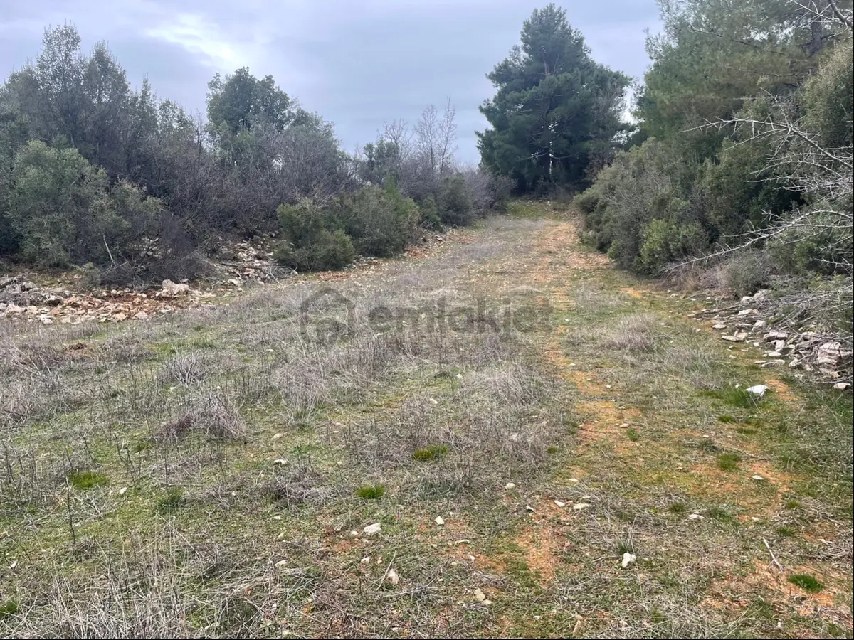 Muğla Ula Gölcük Mah.de Satılık Tarla. - 8