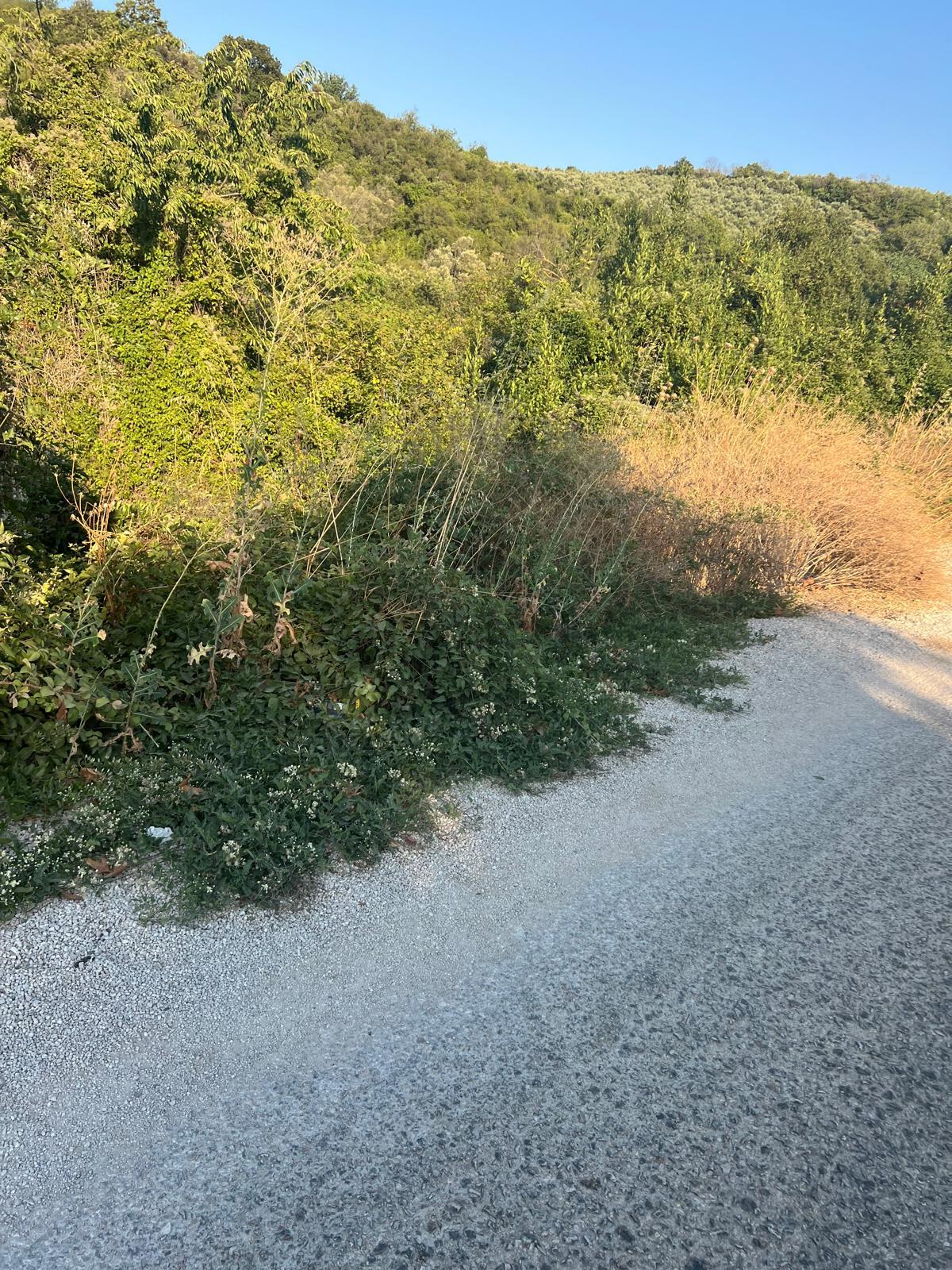 Bursa Mudanya Eşkel Satılık Tarla1300m2 - 7