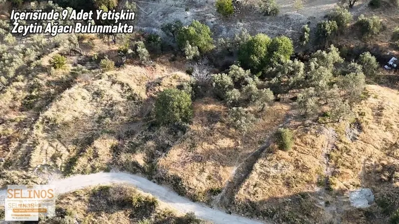 Eğrigöl Mah. 523 M2 Arsa - 4