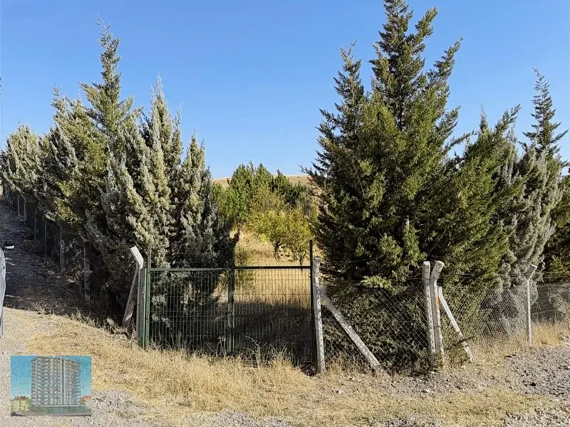 Yaka Müstakil Evli 770 M İmarlı Arsa Elektrik Su Var - 27
