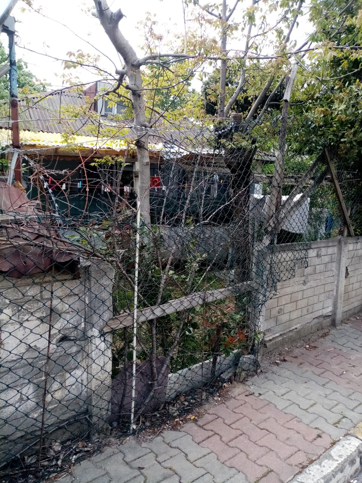 182m2 Arsa İçinde Tek Katlı Müstakil Tadında Bina - 9