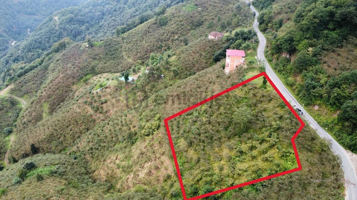 Trabzon'da Satılık Arazi - 15