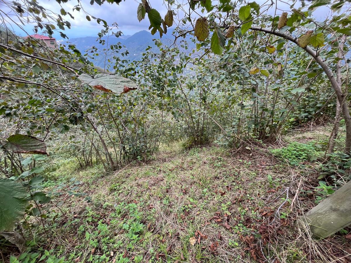 Trabzon'da Satılık Arazi - 32