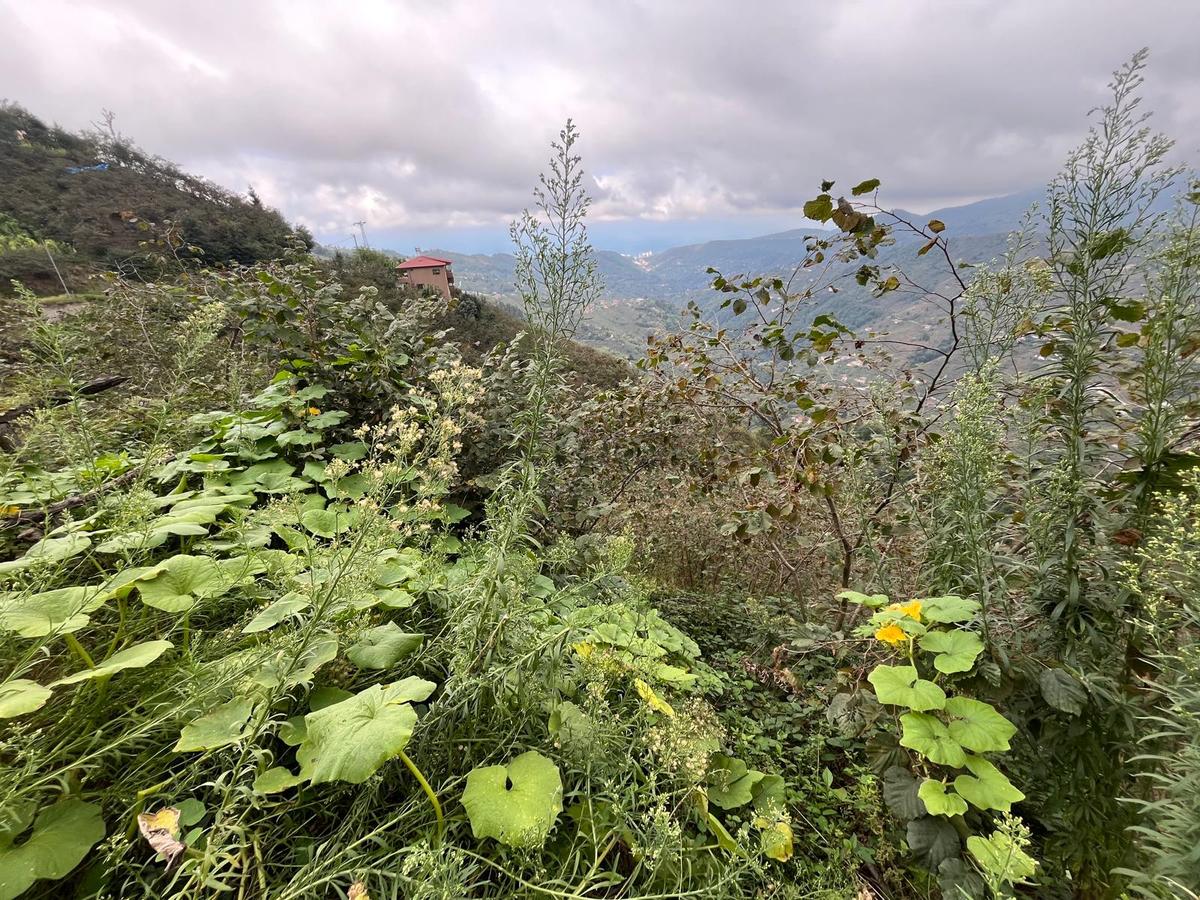 Trabzon'da Satılık Arazi - 25