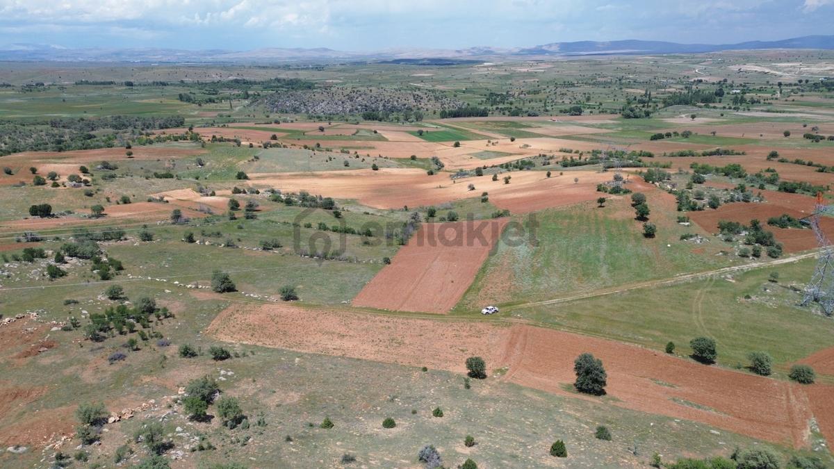 Akören Tülce De 2.344 M2 Müstakil Tapulu Tarla - 8