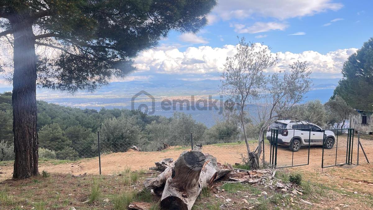 Başaran Emlak'tan Efsane Zeytin Arazisi... - 16