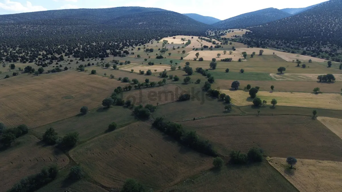 Akören / Karahüyük De 3.402 M² Satılık Kupon Tarla - 6