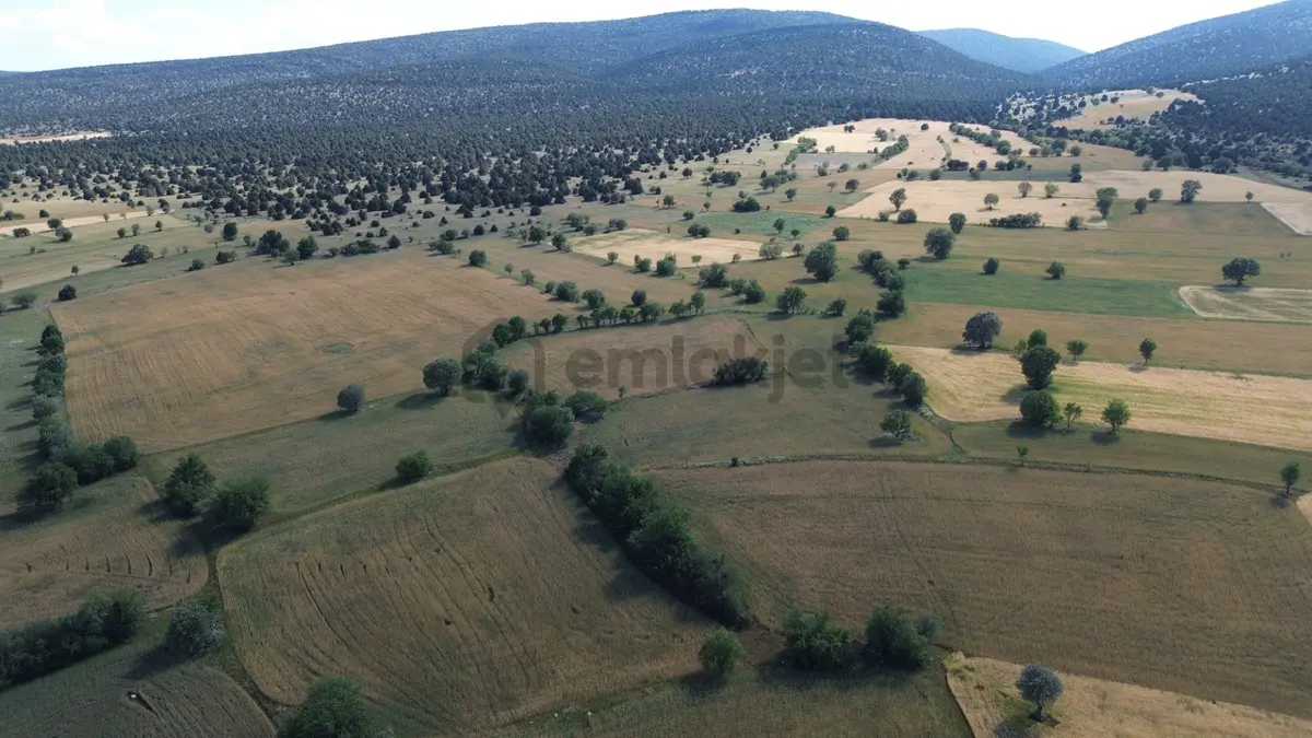 Akören / Karahüyük De 3.402 M² Satılık Kupon Tarla - 7