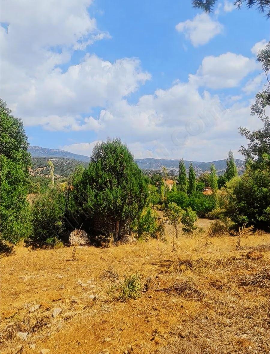 Yayla Eldirekte 685 M2 İmarlı Satılık Arsa. - 24