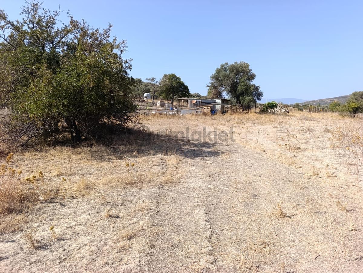 Foça Hacılimanında Satılık Tarla - 8