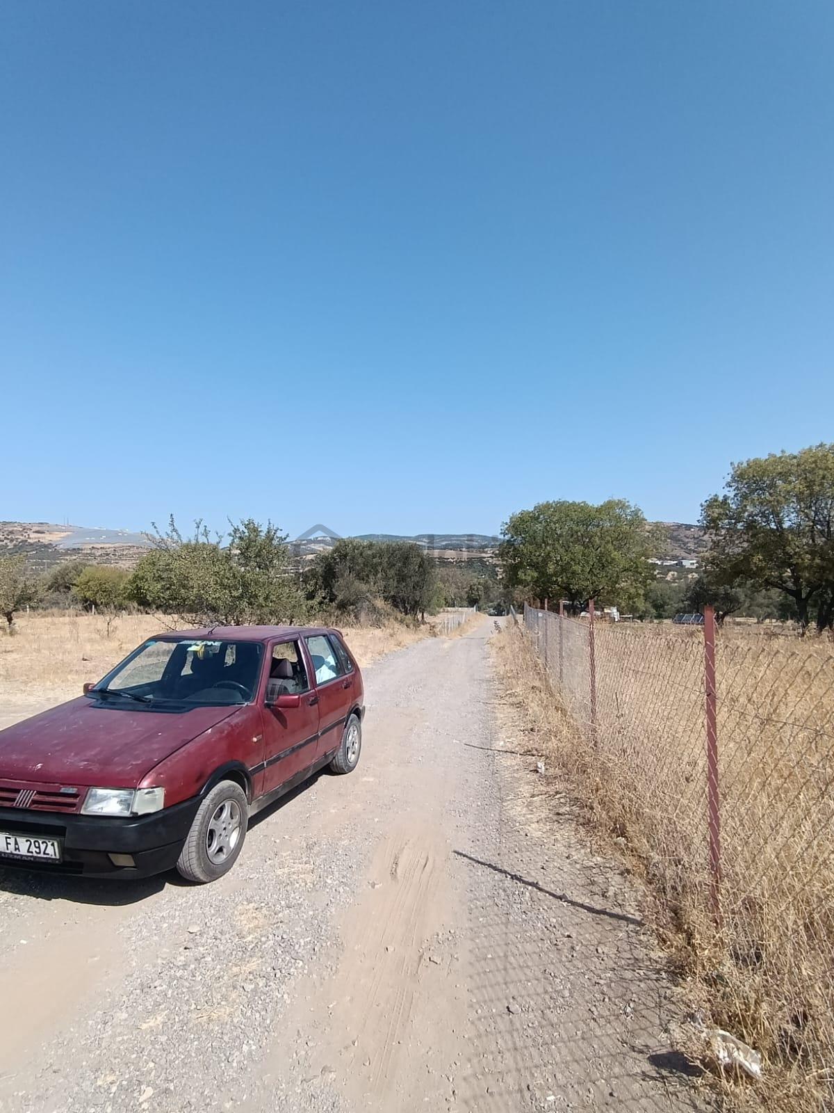 Foça Hacılimanında Satılık Tarla - 2