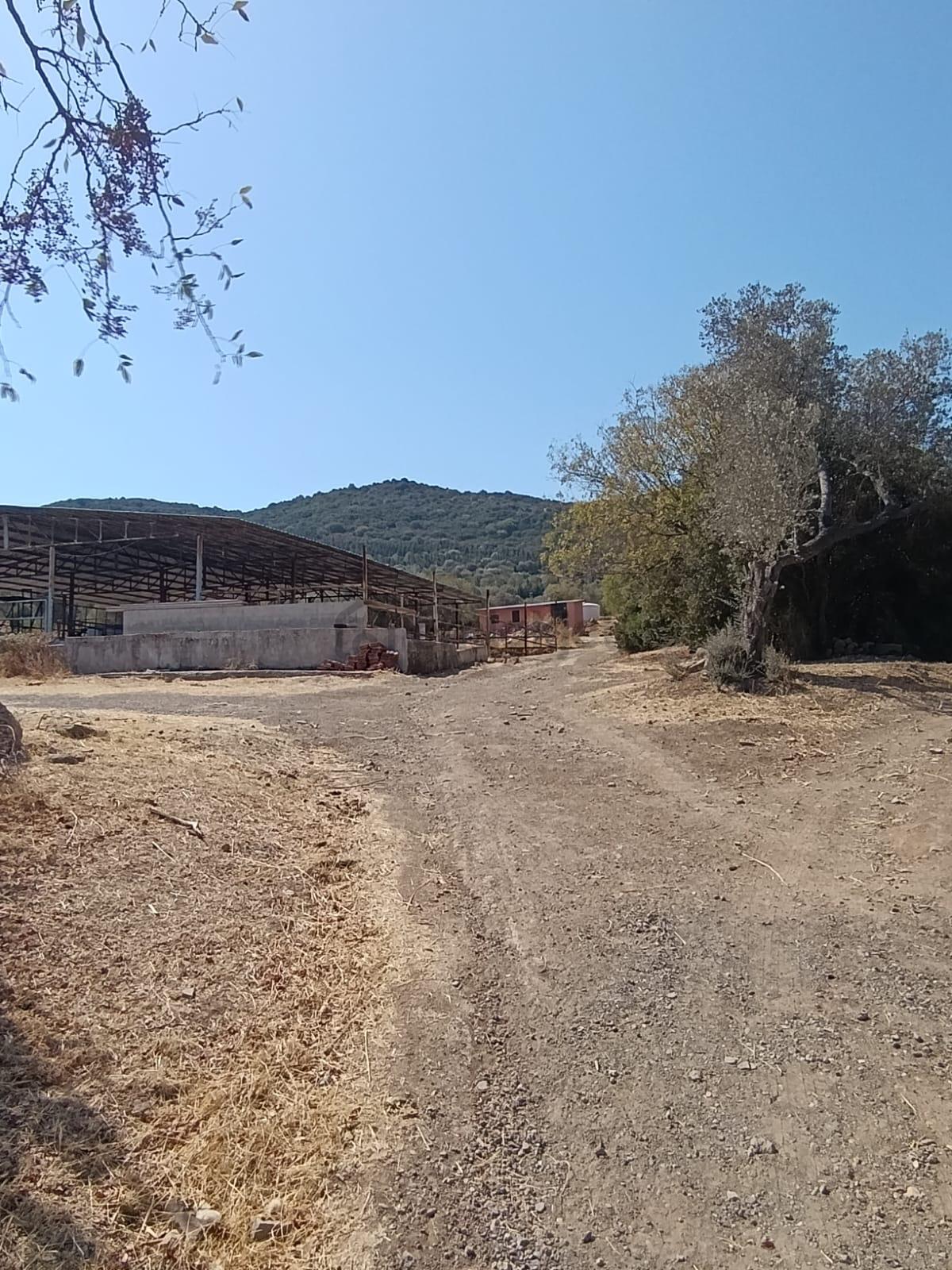 Foça Hacılimanında Satılık Tarla - 7