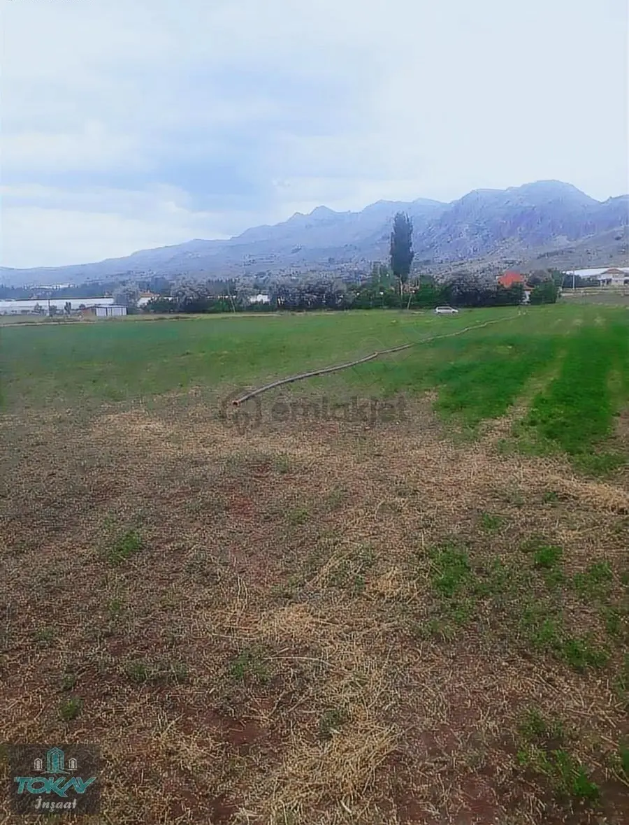 Korkuteli Kozağacında Satılık Tarla Sera Yeri