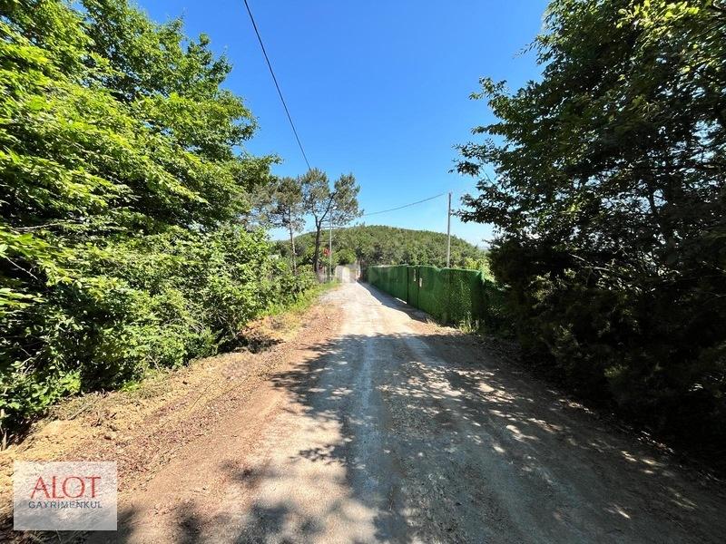Şile Çelebi De Satılık 5653m2 Tarla - 7