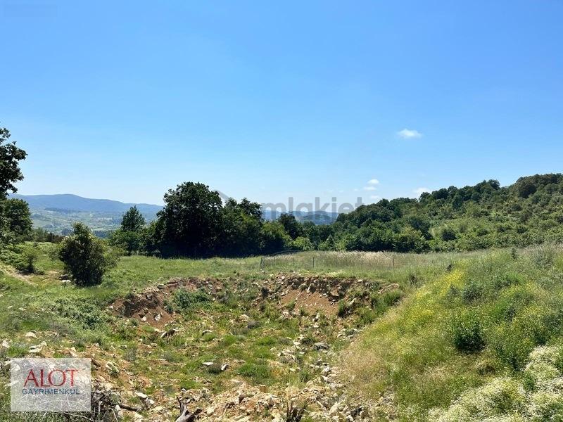 Şile Çelebi De Satılık 5653m2 Tarla - 28