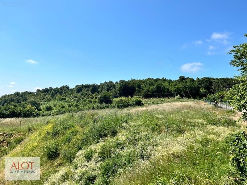 Şile Çelebi De Satılık 5653m2 Tarla - 30
