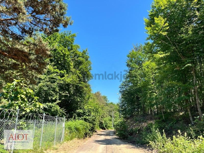 Şile Çelebi De Satılık 5653m2 Tarla - 6
