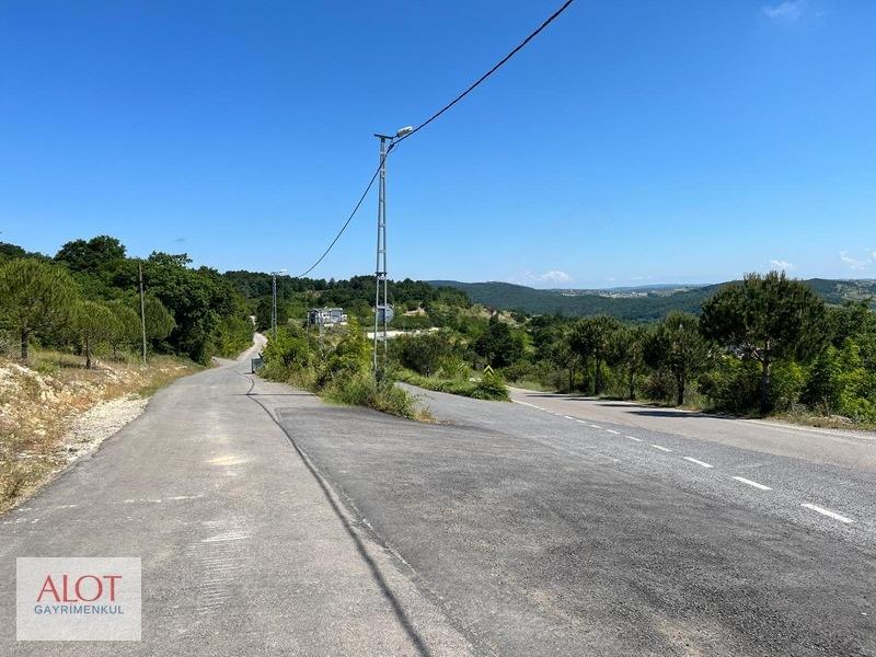 Şile Çelebi De Satılık 5653m2 Tarla - 23