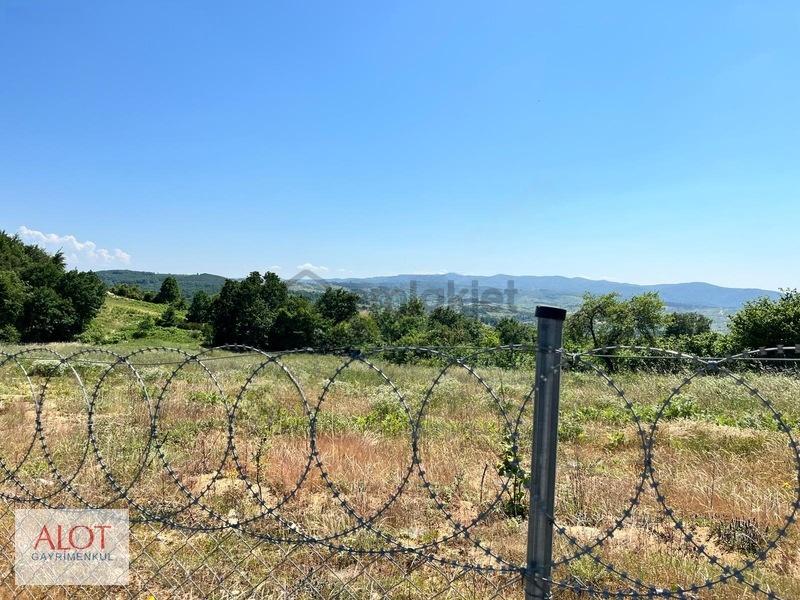 Şile Çelebi De Satılık 5653m2 Tarla - 12