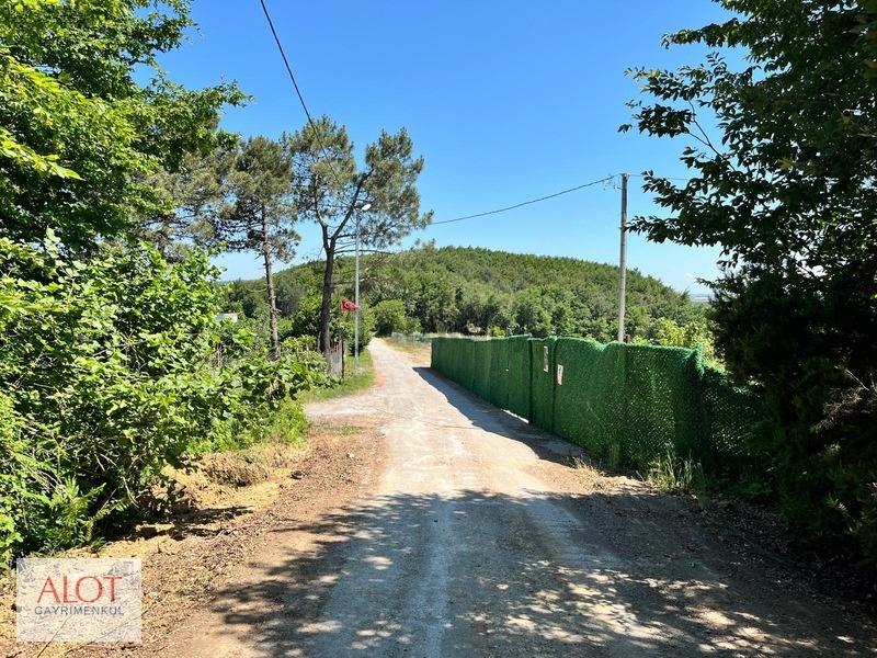Şile Çelebi De Satılık 5653m2 Tarla - 5