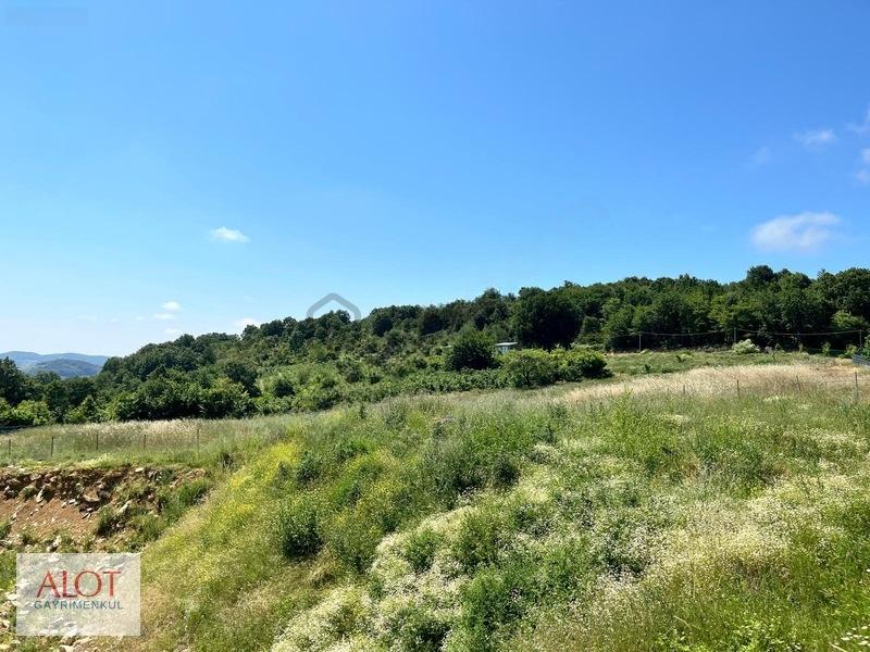 Şile Çelebi De Satılık 5653m2 Tarla - 29