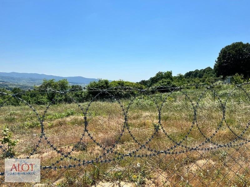 Şile Çelebi De Satılık 5653m2 Tarla - 9