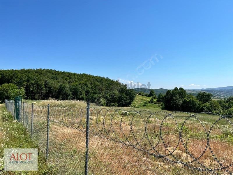 Şile Çelebi De Satılık 5653m2 Tarla - 8