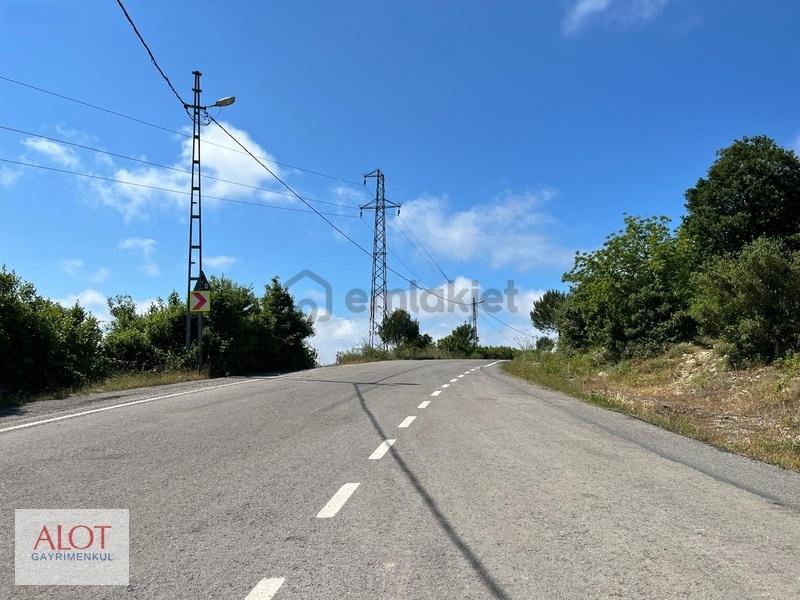 Şile Çelebi De Satılık 5653m2 Tarla - 19