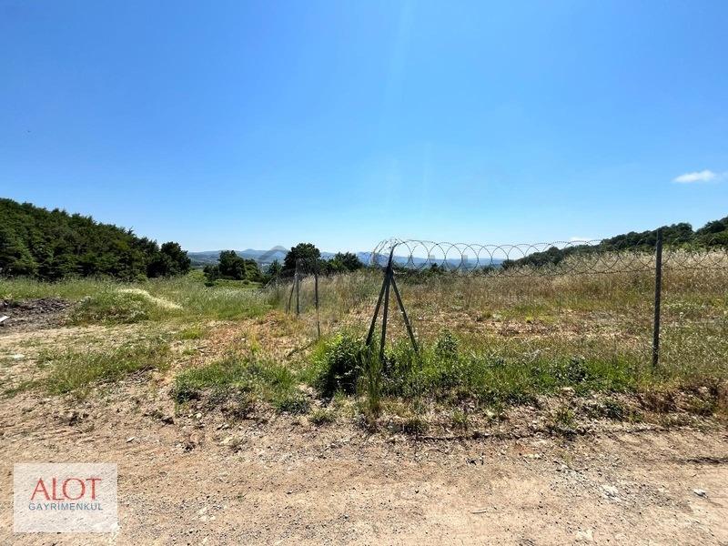 Şile Çelebi De Satılık 5653m2 Tarla - 15