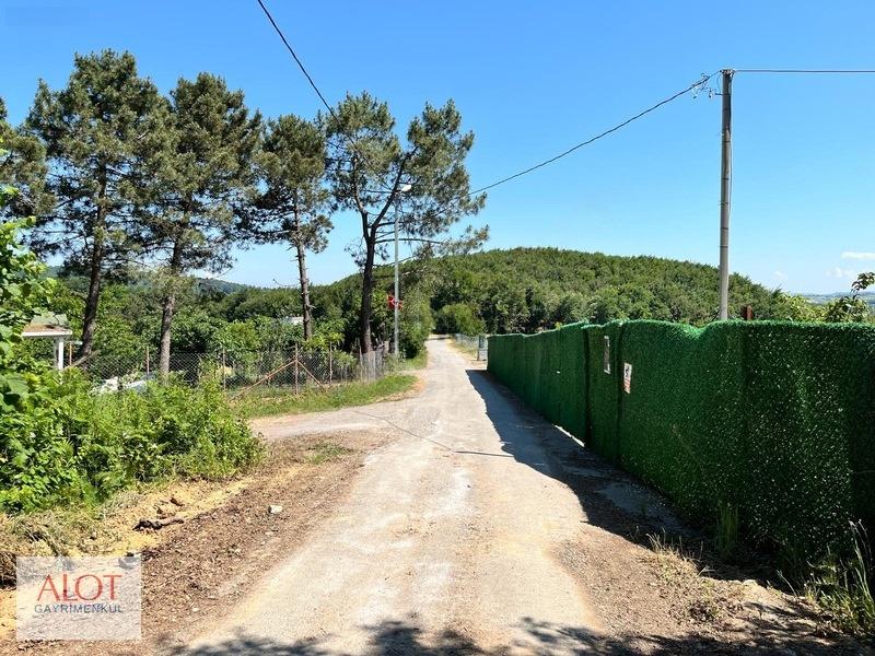 Şile Çelebi De Satılık 5653m2 Tarla - 4